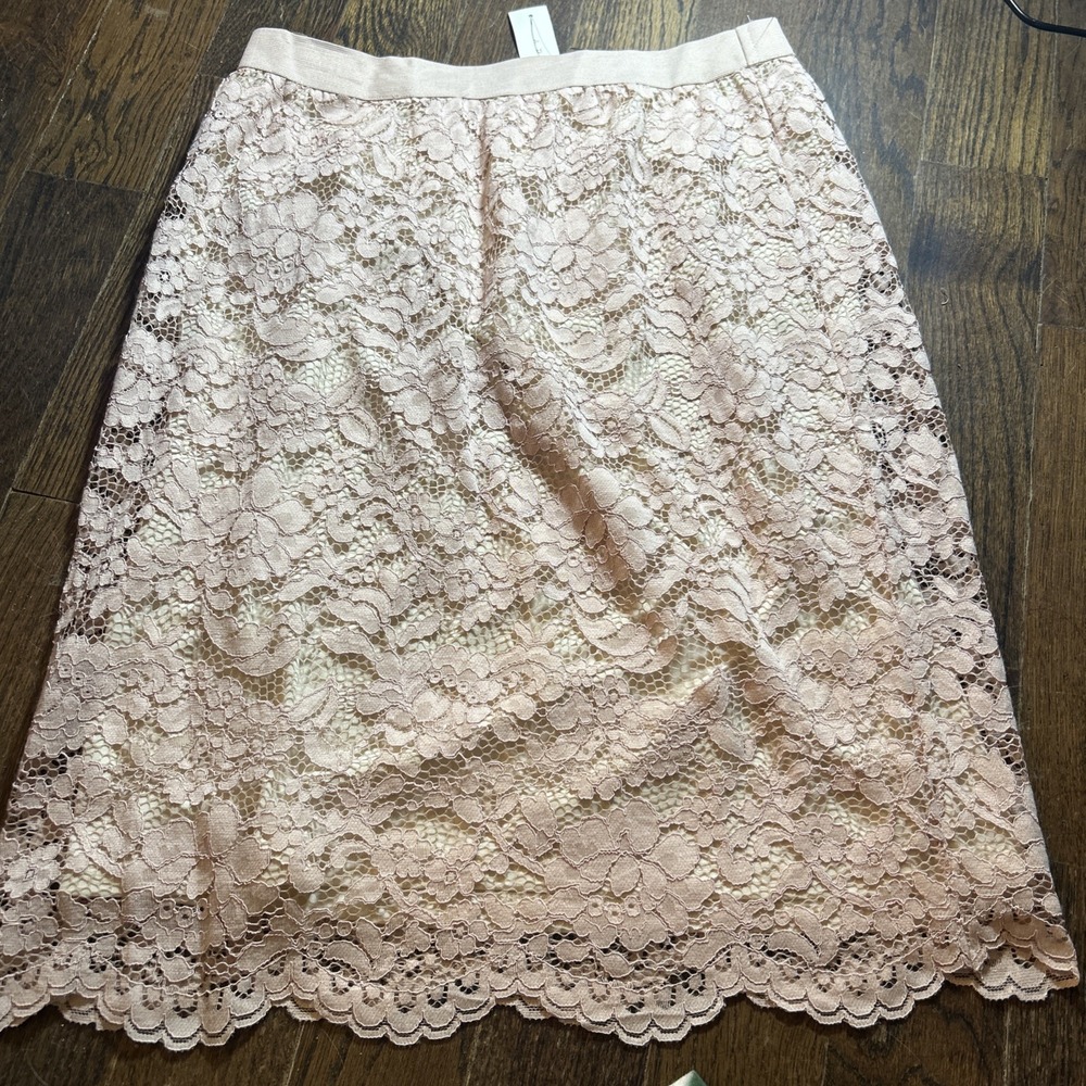 Adiva Skirt‎ Womens Medium Soft Pink Blush Lace Business Casual Boho Overlay NWT